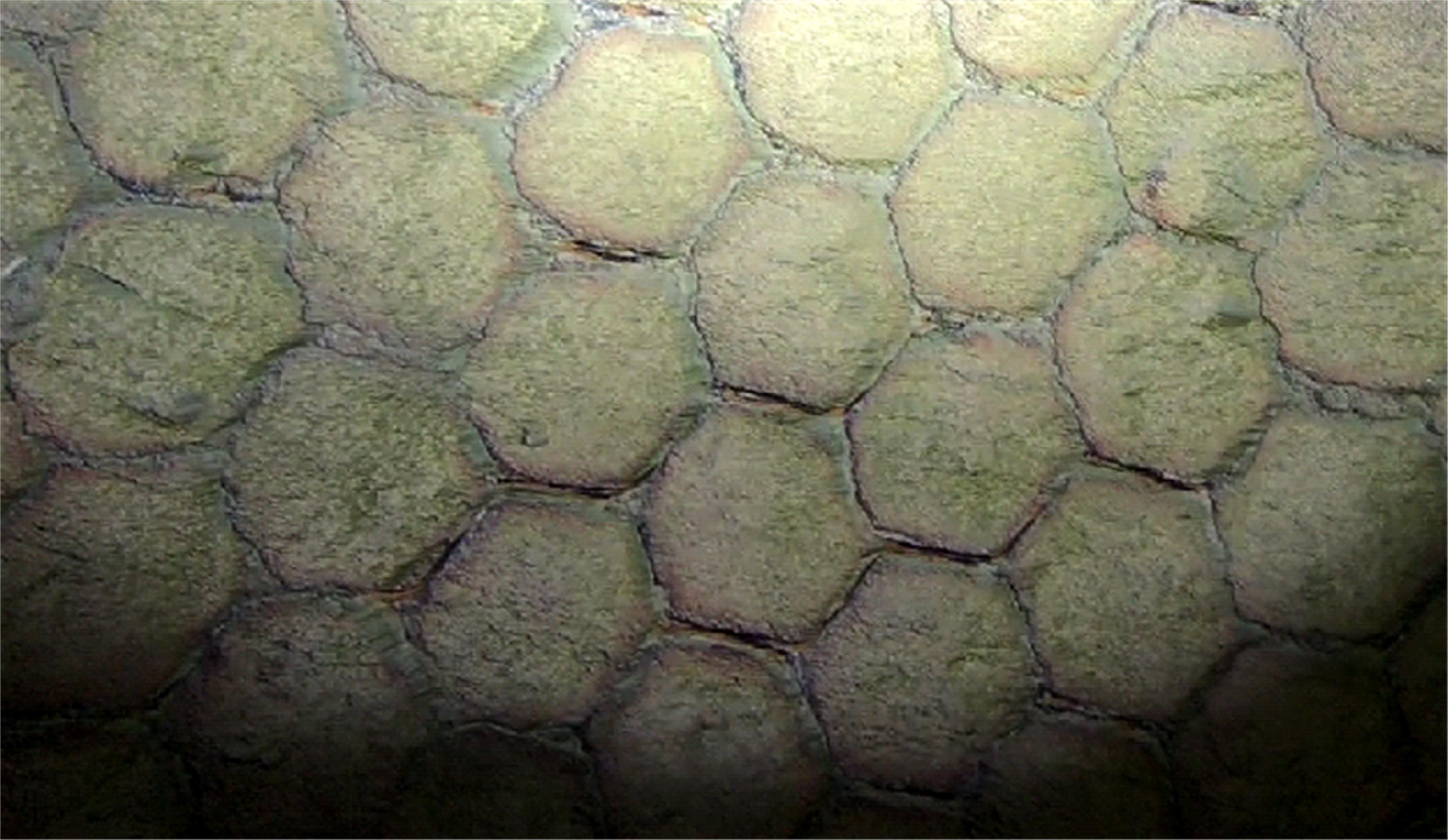 Videoscopia Industrial